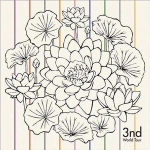 蓝手套哥训猴原版视频完整版
