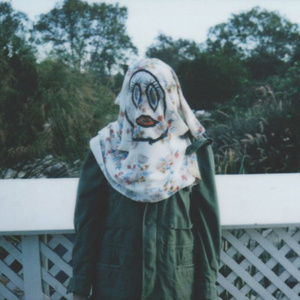 蓝手套哥训猴原版视频完整版
