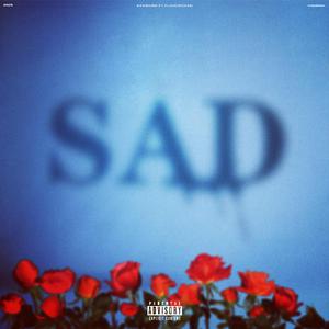 蓝手套哥训猴原版视频完整版
