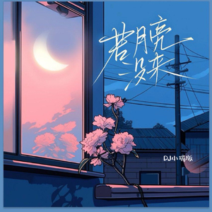 蓝手套哥训猴原版视频完整版
