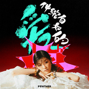 蓝手套哥训猴原版视频完整版
