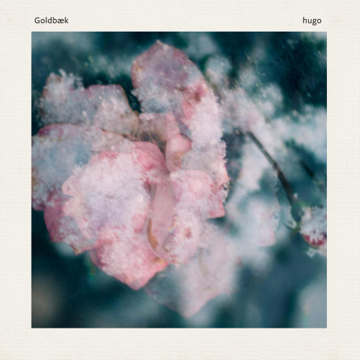 蓝手套哥训猴原版视频完整版
